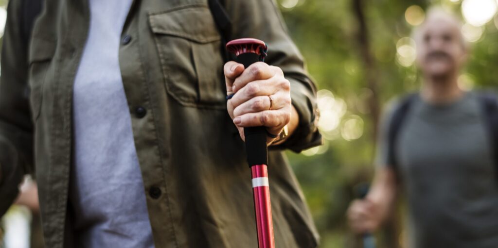 Nordic walking in Low Tatras