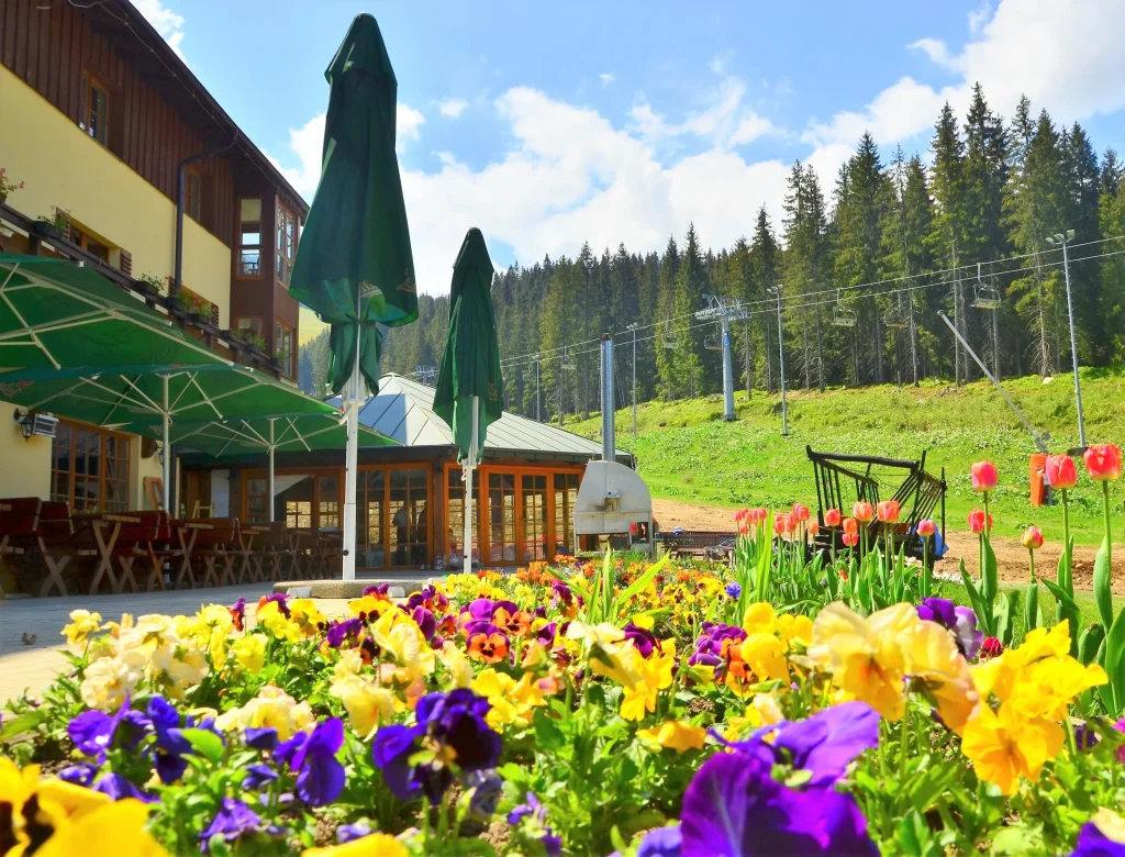 Pobyty na darčekové poukazy - obrázok 6