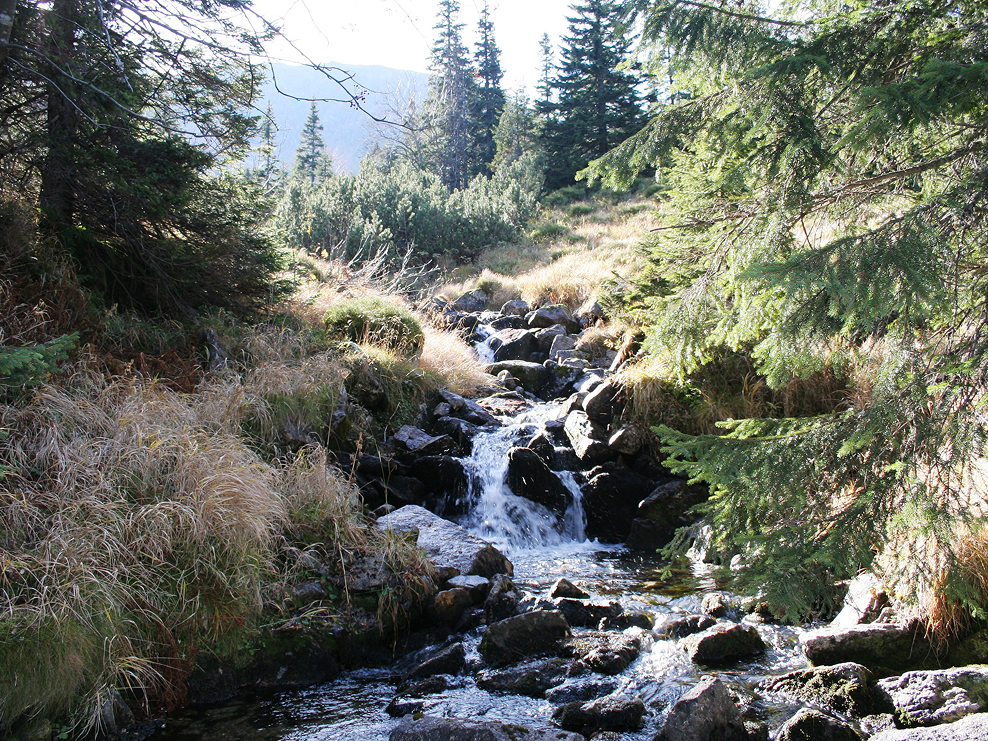 Aktivity v Jasnej - obrázok 8