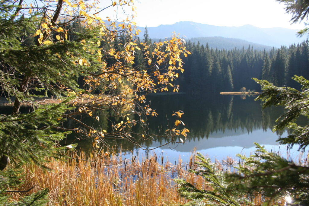 Activities in Jasná - image 9