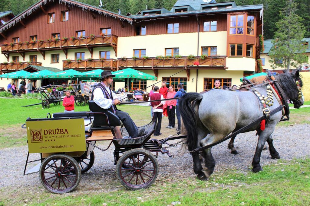 Congresses - image 10