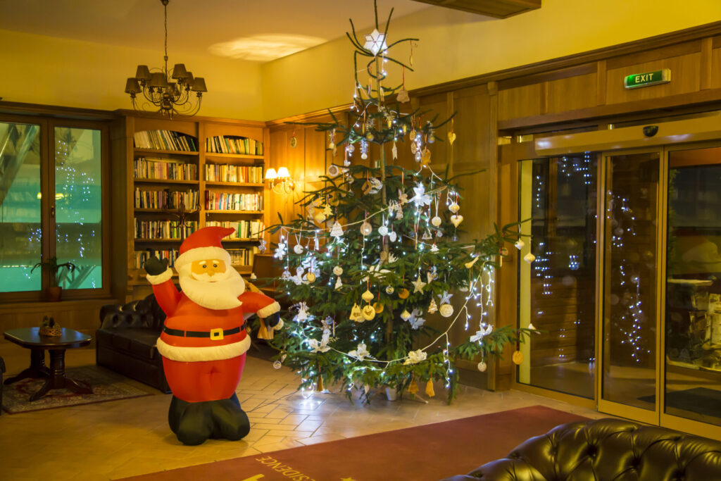 Christmas package - image 1