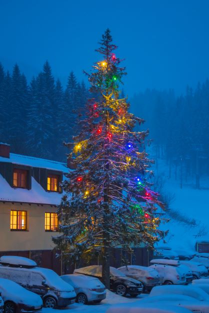 Christmas package - image 12